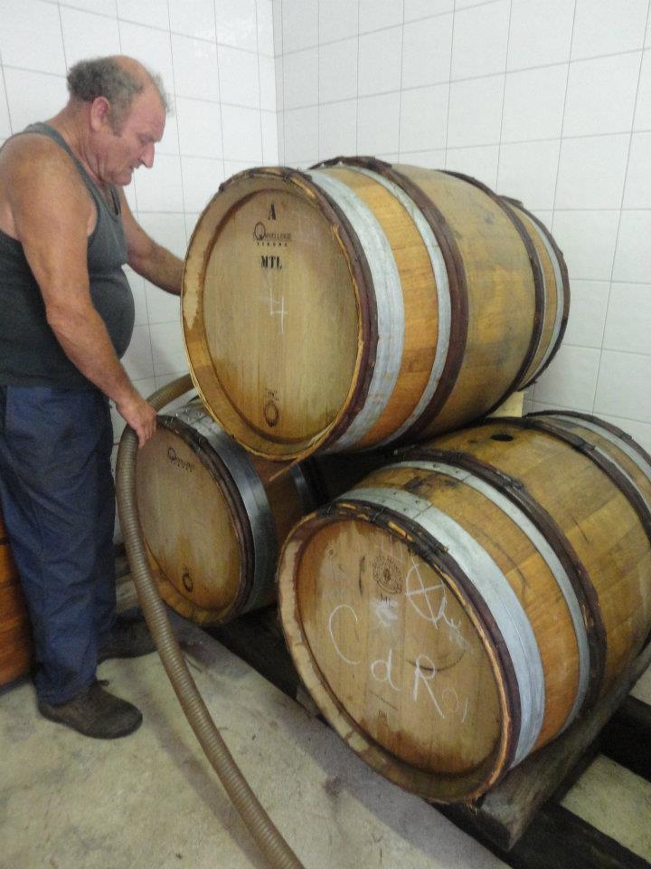 vinification Bourgogne Coulanges la Vineuse blanc au domaine du clos du roi